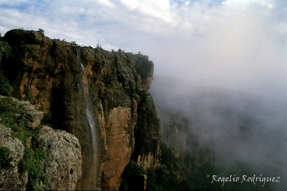 Imagen 1 de la galería de Etiopia